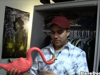 Dare Dorm - flamingo - 03/23/2012